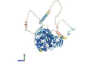 CPSF2 Protein (AA 1-782) (His tag)