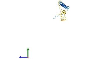 Protein Structure (PS) image for Small Cell Adhesion Glycoprotein (SMAGP) (AA 1-97) protein (His tag) (ABIN7560336)