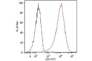 Surface staining of NALM-6 human pre-B cell leukemia cell line with anti-human CD9 (MEM-61) FITC. (CD9 抗体)