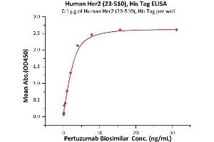 ELISA image for Receptor tyrosine-protein kinase erbB-2 (ErbB2/Her2) (AA 23-510) (Active) protein (His tag) (ABIN7013682)