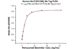 Immobilized Human Her2 (23-510), His Tag (ABIN6973091) at 1 μg/mL (100 μL/well) can bind Pertuzumab Biosimilar with a linear range of 0.