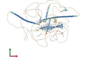 Protein Structure (PS) image for Centromere Protein J (CENPJ) (AA 1-1344) protein (His tag) (ABIN7563793)