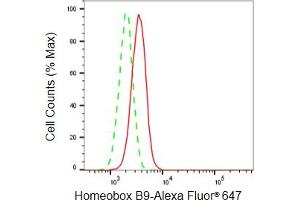Flow cytometric analysis of Homeobox B9 expression in HepG2 cells using Homeobox B9 antibody (ABIN7798993), 1:2,000). (Recombinant HOXB9 抗体)