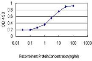 ELISA image for anti-serpin Peptidase Inhibitor, Clade B (Ovalbumin), Member 3 (SERPINB3) (AA 276-390) antibody (ABIN562799)