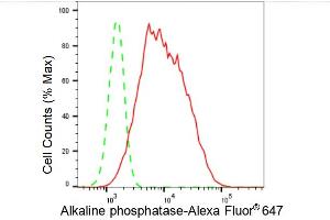 Flow cytometric analysis of Alkaline phosphatase expression in HepG2 cells using Alkaline phosphatase antibody (ABIN7797576), 1:2,000). (Recombinant Alkaline Phosphatase 抗体)