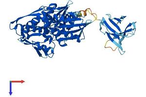 HSPA14 Protein (AA 1-509) (His tag)