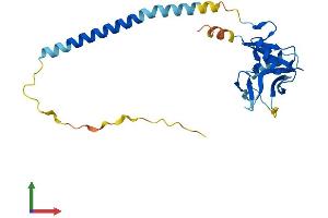 Protein Structure (PS) image for Killer Cell Lectin-Like Receptor Subfamily B Member 1A (Klrb1a) (AA 1-227) protein (His tag) (ABIN7563034)