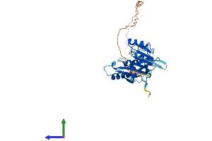 Protein Structure (PS) image for Fibrillarin-Like 1 (FBLL1) (AA 1-314) protein (His tag) (ABIN7558397)