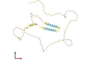 Protein Structure (PS) image for Bartter Syndrome, Infantile, with Sensorineural Deafness (Barttin) (BSND) (AA 1-307) protein (His tag) (ABIN7559965)