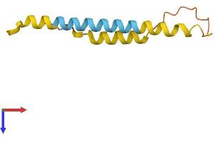 AlphaFold protein structure predicition of Human Recombinant LINC00470 Protein, UniprotID Q9BZP3