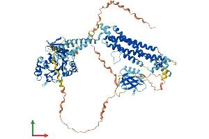AlphaFold protein structure predicition of Human Recombinant DNM3 Protein, UniprotID Q9UQ16