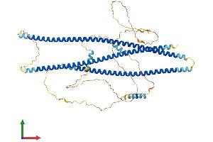 Protein Structure (PS) image for Shootin-1 (SHTN1) (AA 1-631) protein (His tag) (ABIN7555480)