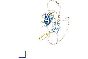 Protein Structure (PS) image for Zinc Finger and BTB Domain Containing 32 (ZBTB32) (AA 1-487) protein (His tag) (ABIN7545426)