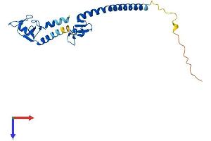 Protein Structure (PS) image for Tripartite Motif Containing 61 (TRIM61) (AA 1-209) protein (His tag) (ABIN7544721)