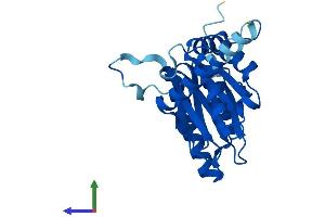Protein Structure (PS) image for Proteasome Subunit alpha  7 (PSMA7) (AA 1-248) protein (His tag) (ABIN7556445)