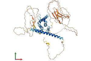 Protein Structure (PS) image for Protein BANP (BANP) (AA 1-548) protein (His tag) (ABIN7564721)
