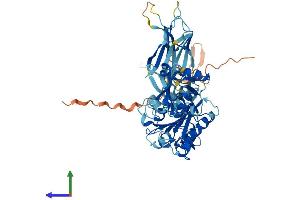 Protein Structure (PS) image for Copine VII (CPNE7) (AA 1-633) protein (His tag) (ABIN7546796)