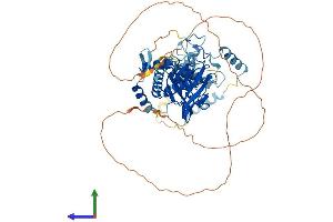 Protein Structure (PS) image for MYST Histone Acetyltransferase 2 (MYST2) (AA 1-613) protein (His tag) (ABIN7557544)