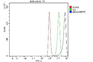 Flow Cytometry analysis of A549 cells using anti-Annexin A1/ANXA1 antibody (ABIN7600491).