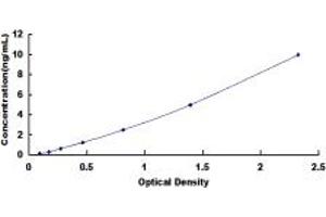 Typical standard curve (NTSR1 ELISA 试剂盒)