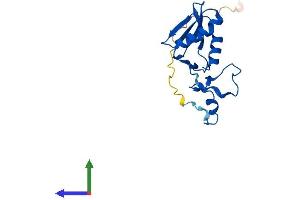 Protein Structure (PS) image for Mitochondrial Ribosomal Protein L49 (MRPL49) (AA 1-166) protein (His tag) (ABIN7560510)