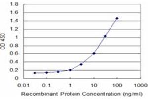 Detection limit for recombinant GST tagged MS4A1 is approximately 1ng/ml as a capture antibody. (CD20 抗体  (AA 1-297))