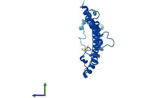 Protein Structure (PS) image for NADH Dehydrogenase (Ubiquinone) 1 beta Subcomplex, 10, 22kDa (NDUFB10) (AA 1-176) protein (His tag) (ABIN7561352)