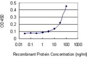 Detection limit for recombinant GST tagged RABEP1 is 3 ng/ml as a capture antibody. (RABEP1 抗体  (AA 765-862))