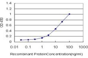 Detection limit for recombinant GST tagged GEMIN7 is approximately 0. (GEMIN7 抗体  (AA 1-131))