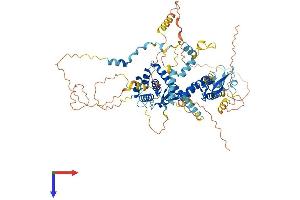 SPIRE2 Protein (AA 1-714) (His tag)