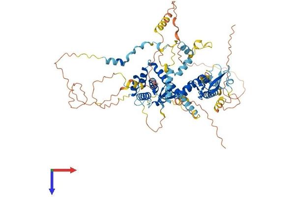 SPIRE2 Protein (AA 1-714) (His tag)