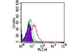 Image no. 3 for anti-RAR-Related Orphan Receptor C (RORC) (AA 1-50) antibody (ABIN959913) (RORC 抗体  (AA 1-50))
