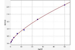Typical standard curve (COQ10A ELISA 试剂盒)