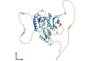 AlphaFold protein structure predicition of Mouse Recombinant Hps4 Protein, UniprotID Q99KG7