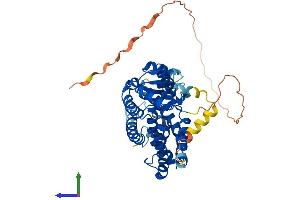 AlphaFold protein structure predicition of Mouse Recombinant Ppard Protein, UniprotID P35396 (PPARD Protein (AA 1-440) (His tag))