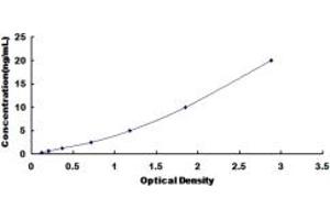 Typical standard curve (GSAP ELISA 试剂盒)