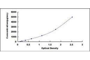 Leukocyte Cell-Derived Chemotaxin 2 (LECT2) ELISA Kit