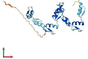 Protein Structure (PS) image for Zinc Finger Protein 80 (ZNF80) (AA 1-273) protein (His tag) (ABIN7545836)