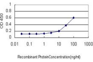 ELISA image for anti-SMAD, Mothers Against DPP Homolog 1 (SMAD1) (AA 1-110) antibody (ABIN561713)