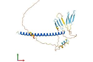 Protein Structure (PS) image for Activating Transcription Factor 1 (AFT1) (AA 1-271) protein (His tag) (ABIN7552421)