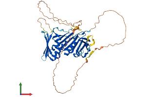 Protein Structure (PS) image for RAD9 Homolog B (RAD9B) (AA 1-426) protein (His tag) (ABIN7551231)