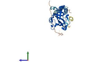 Protein Structure (PS) image for Surfeit 1 (SURF1) (AA 1-300) protein (His tag) (ABIN7544052)