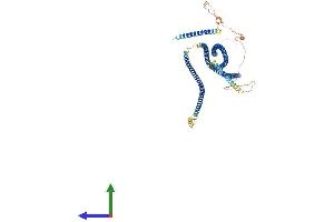 AlphaFold protein structure predicition of Mouse Recombinant Cep63 Protein, UniprotID Q3UPP8 (CEP63 Protein (AA 1-700) (His tag))