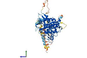 Protein Structure (PS) image for Autophagy related 4C Cysteine Peptidase (ATG4C) (AA 1-458) protein (His tag) (ABIN7564313)
