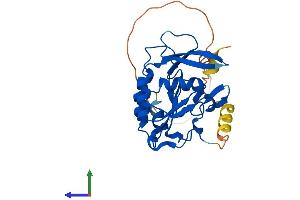 Protein Structure (PS) image for CTD (Carboxy-terminal Domain, RNA Polymerase II, Polypeptide A) Small Phosphatase 2 (CTDSP2) (AA 1-270) protein (His tag) (ABIN7558982)