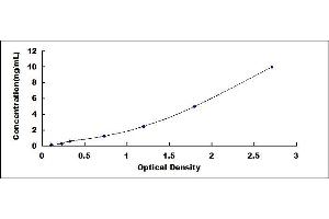 Typical standard curve (N-Cadherin ELISA 试剂盒)