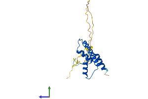 AlphaFold protein structure predicition of Human Recombinant TAF12 Protein, UniprotID Q16514