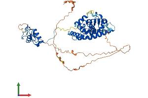Protein Structure (PS) image for Hepatocyte Nuclear Factor 4, alpha (HNF4A) (AA 1-474) protein (His tag) (ABIN7548366)