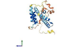 Protein Structure (PS) image for Melanoregulin (MREG) (AA 1-214) protein (His tag) (ABIN7549479)