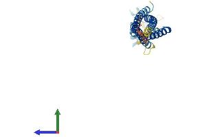 Protein Structure (PS) image for Tetraspanin 32 (TSPAN32) (AA 1-256) protein (His tag) (ABIN7561502)